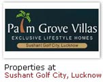 palm_grove